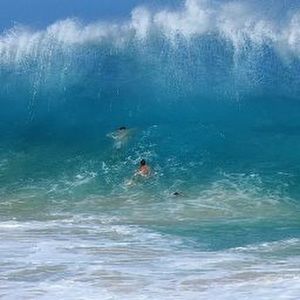 Meet your Posher, Kori